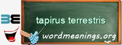 WordMeaning blackboard for tapirus terrestris